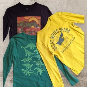 Bundle GAP Boys Long Sleeve Tees Sz. L